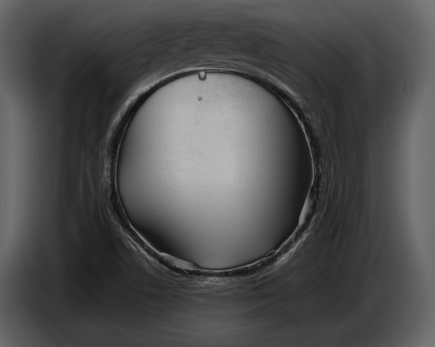 X0000086961506200705071325