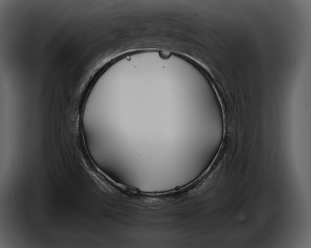 X0000086961507200705071325
