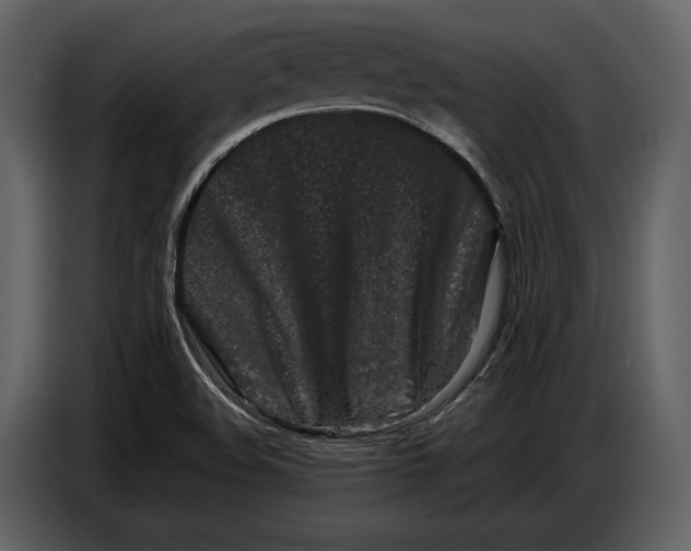 X0000086961508200705071325