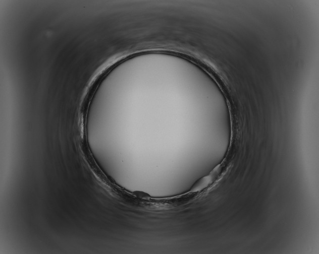 X0000086961509200705071325