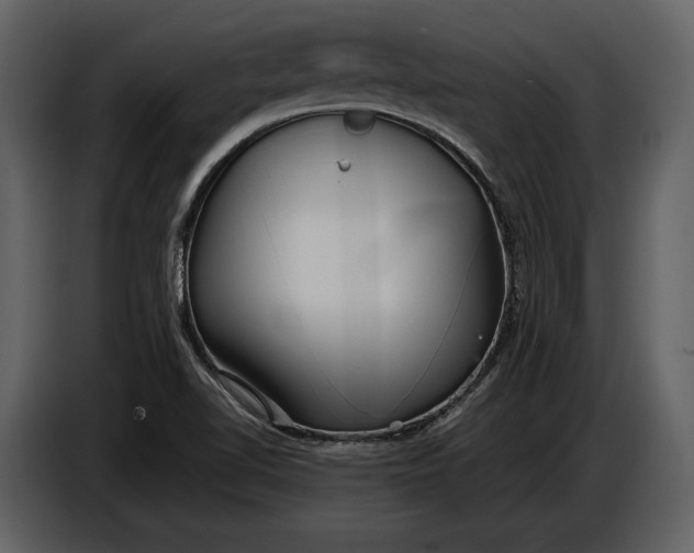 X0000086961510200705071325
