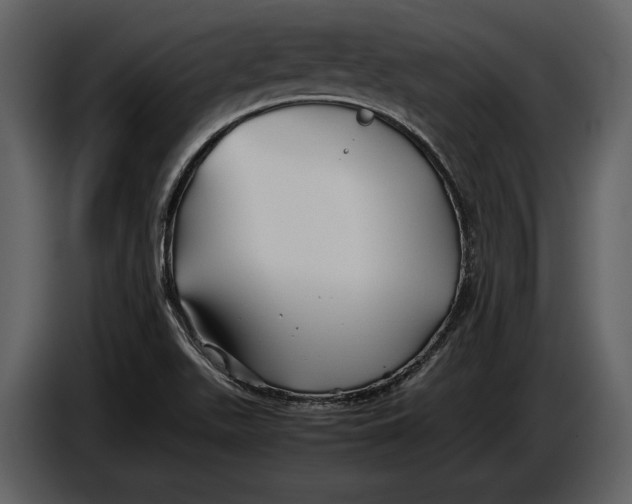 X0000086961511200705071325