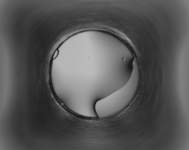 X0000086961512200705071325
