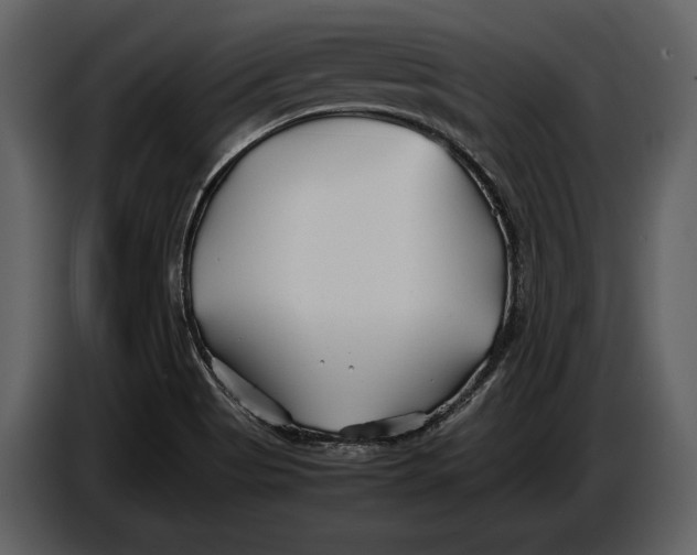 X0000086961513200705071325