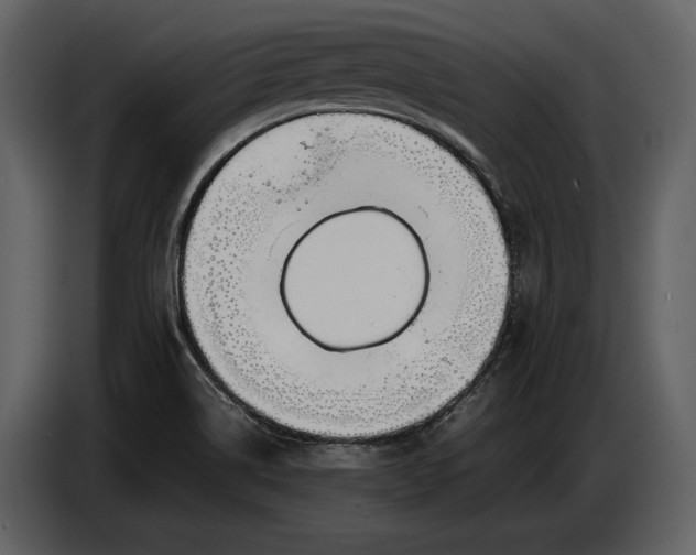 X0000086961514200705071325
