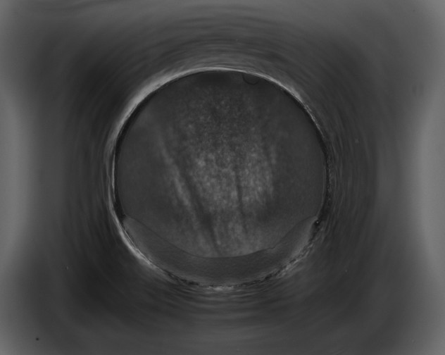 X0000086961515200705071325