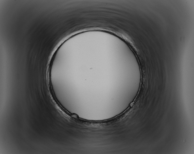 X0000086961516200705071325