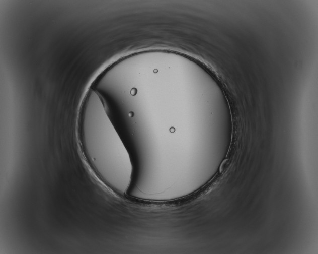 X0000086961518200705071325