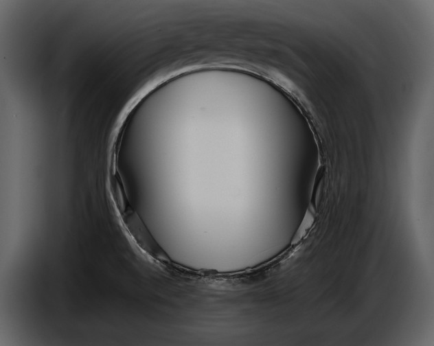 X0000086961520200705071325