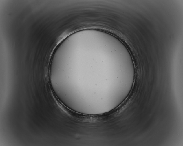 X0000086961521200705071325