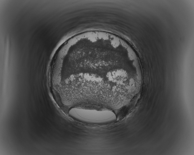X0000086961522200705071325