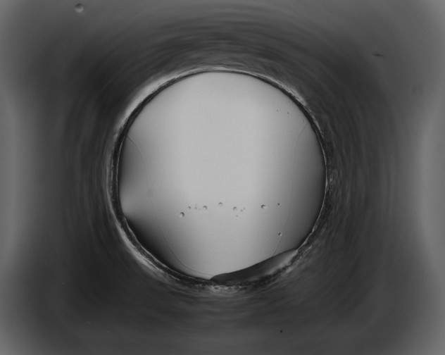 X0000086961523200705071325
