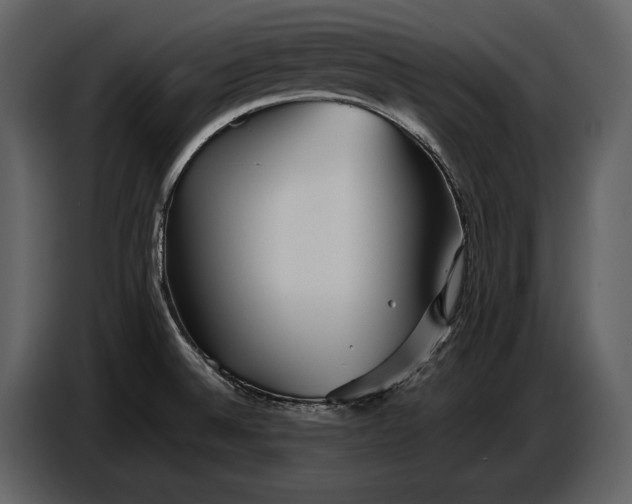 X0000086961524200705071325