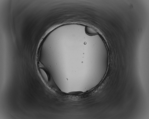 X0000086961525200705071325