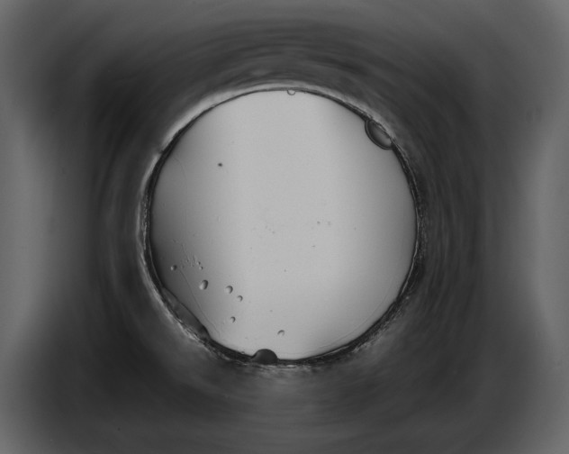 X0000086961526200705071326