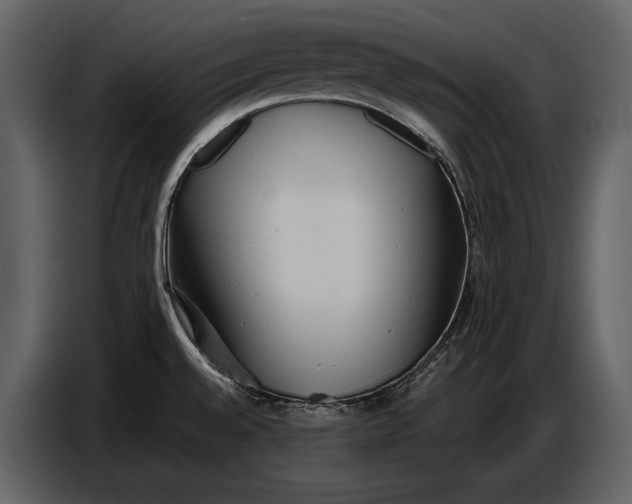 X0000086961528200705071326
