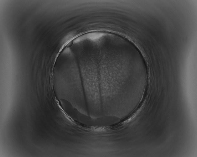 X0000086961529200705071326