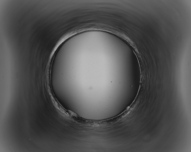 X0000086961530200705071326