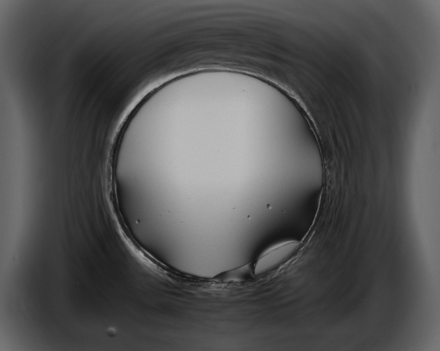 X0000086961531200705071326