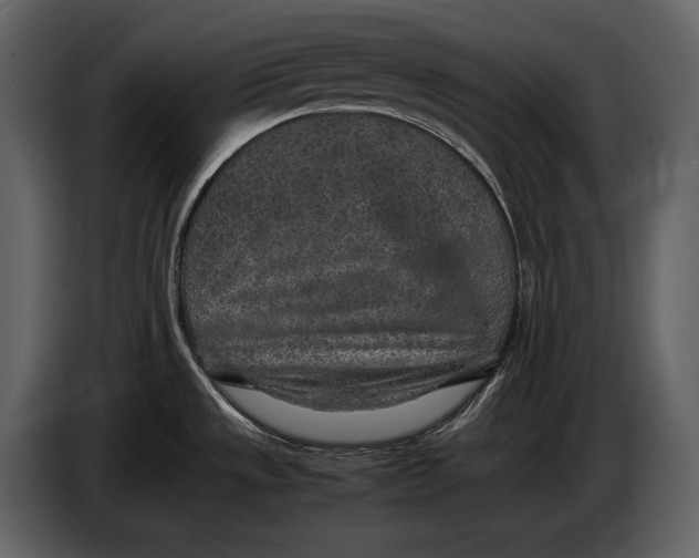X0000086961533200705071326