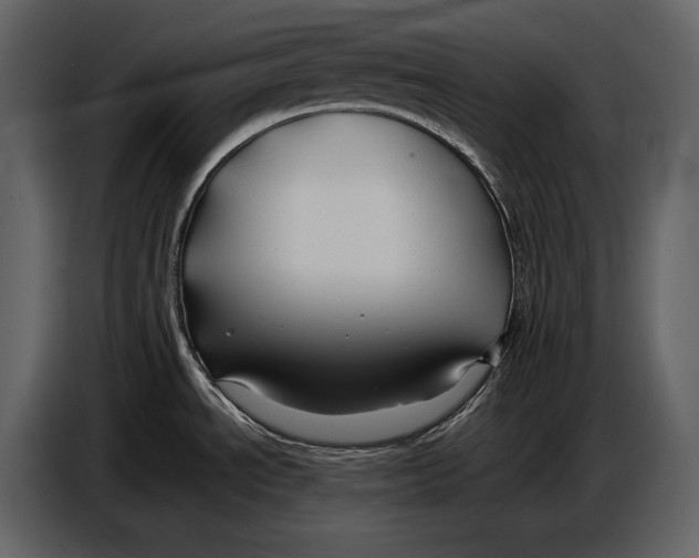 X0000086961534200705071326