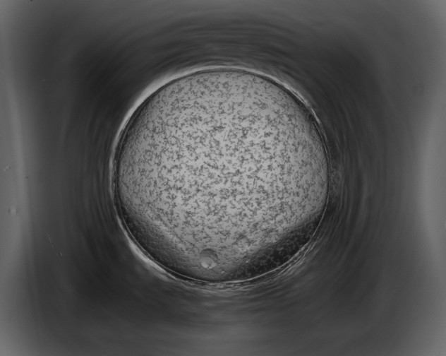 X0000086961535200705071326
