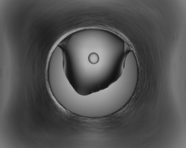 X0000086961536200705071326