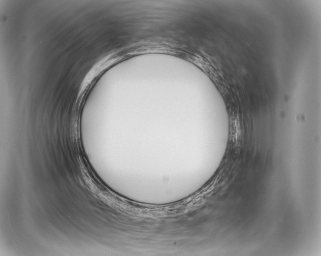 X0000086960004200705141637