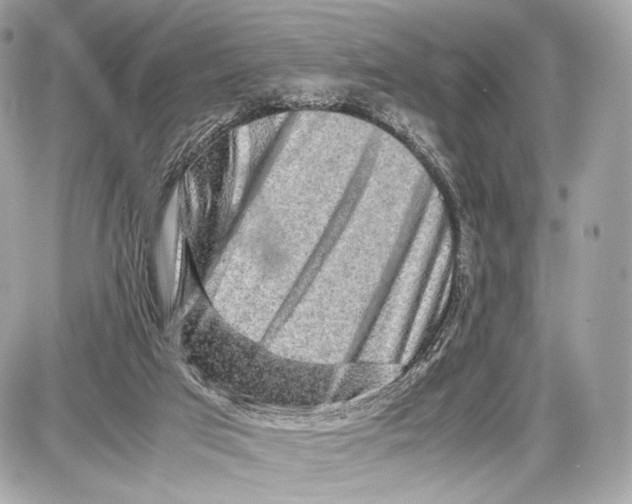 X0000086960017200705141637