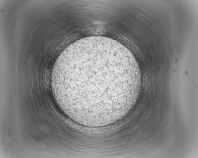 X0000086960030200705141637