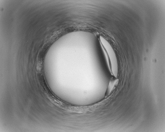 X0000086960033200705141637