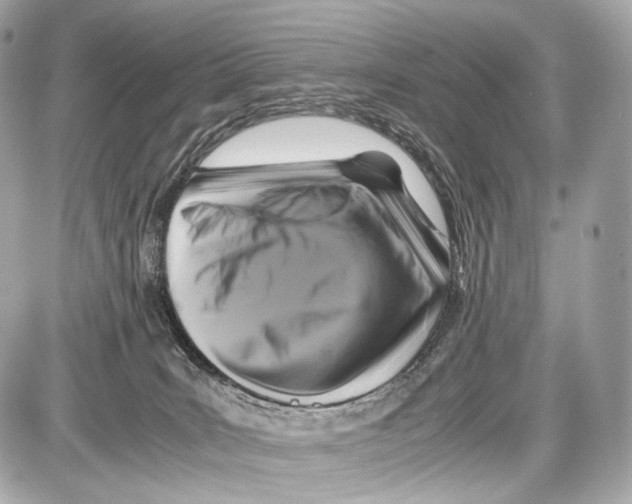X0000086960035200705141637