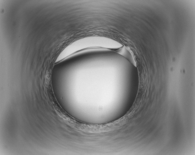 X0000086960037200705141637