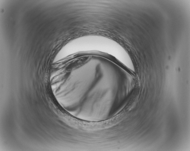 X0000086960039200705141637