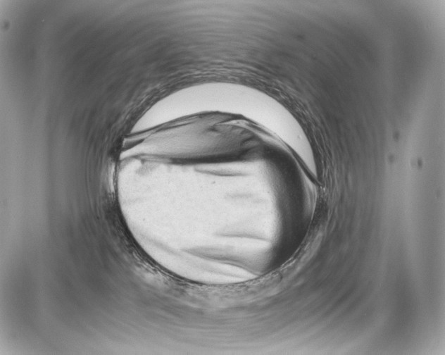 X0000086960041200705141637