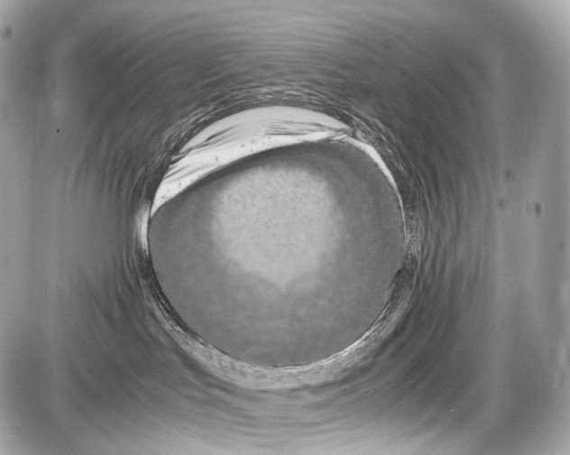 X0000086960047200705141637