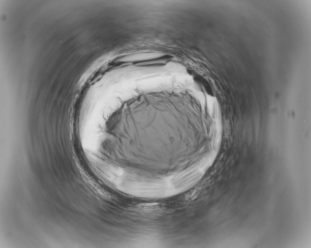 X0000086960054200705141636
