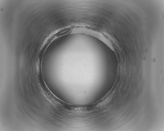 X0000086960064200705141636