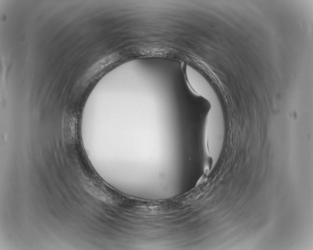 X0000086960071200705141636