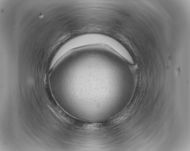 X0000086960072200705141636