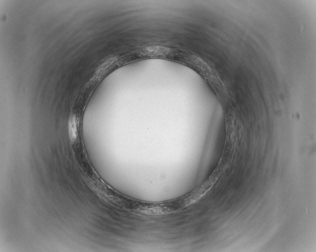 X0000086960075200705141636