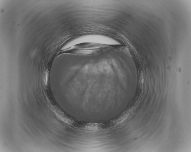 X0000086960076200705141636