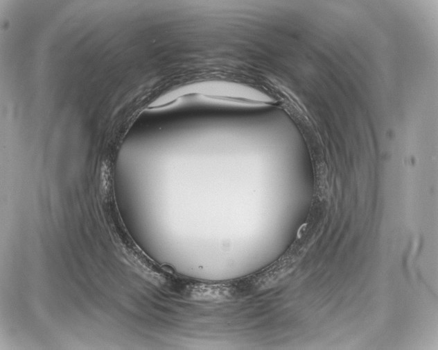 X0000086960077200705141636