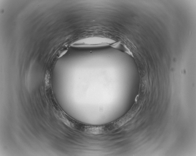 X0000086960081200705141636