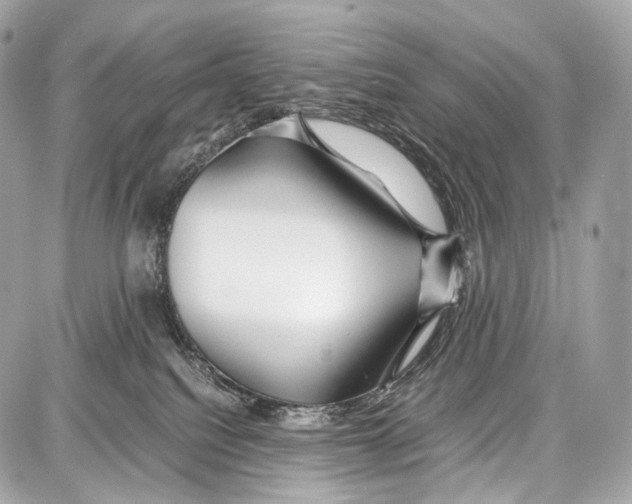 X0000086960088200705141636