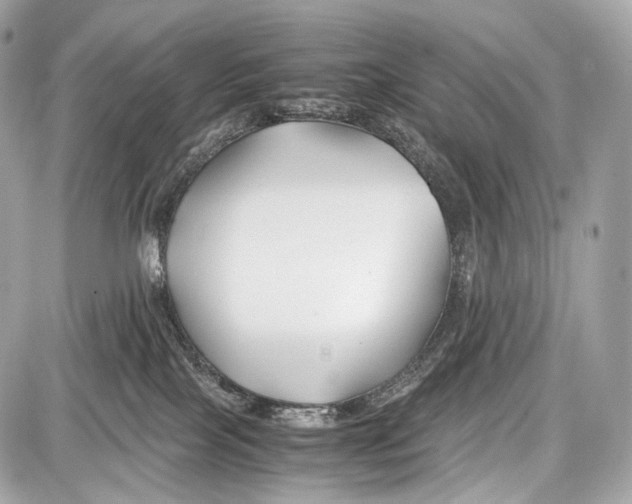 X0000086960089200705141636