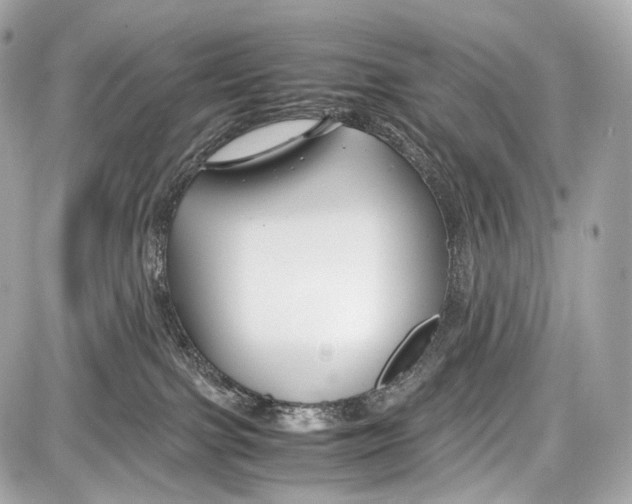 X0000086960091200705141636