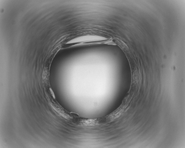 X0000086960092200705141636