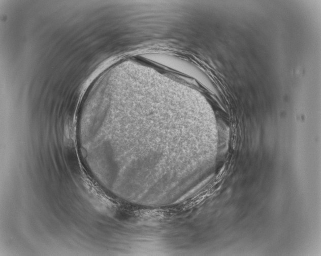 X0000086960100200705141636