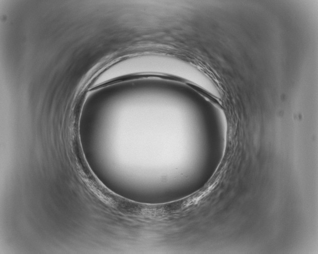 X0000086960101200705141636